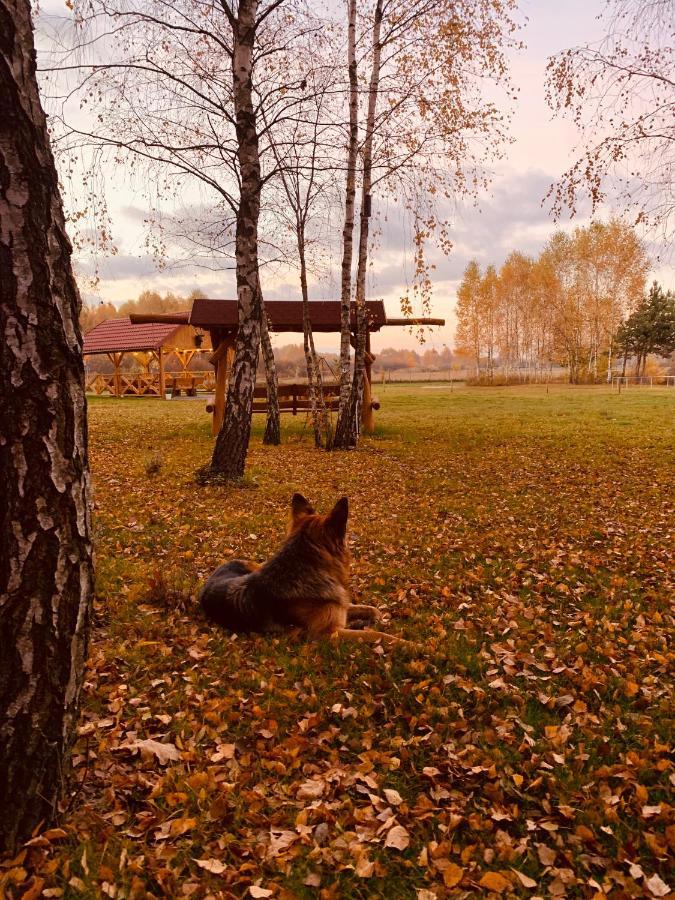 Rajskie Siedlisko Smykow Bagian luar foto