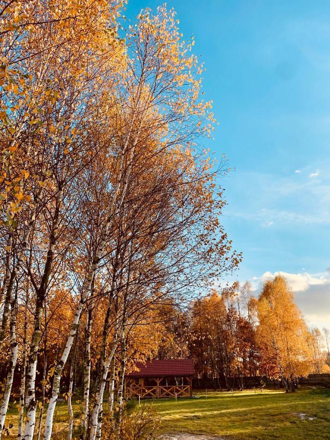 Rajskie Siedlisko Smykow Bagian luar foto